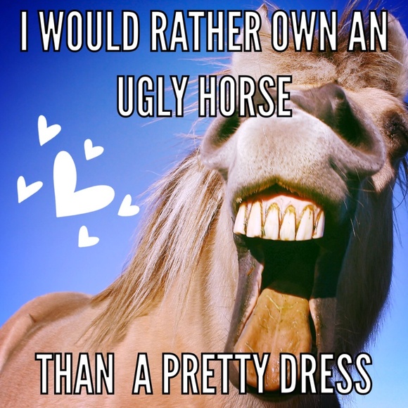 Welcome all - Picture 15 of 16